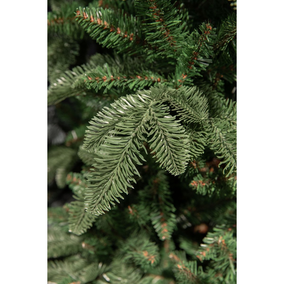 Abies Nordmann Garland - L180 cm - Green