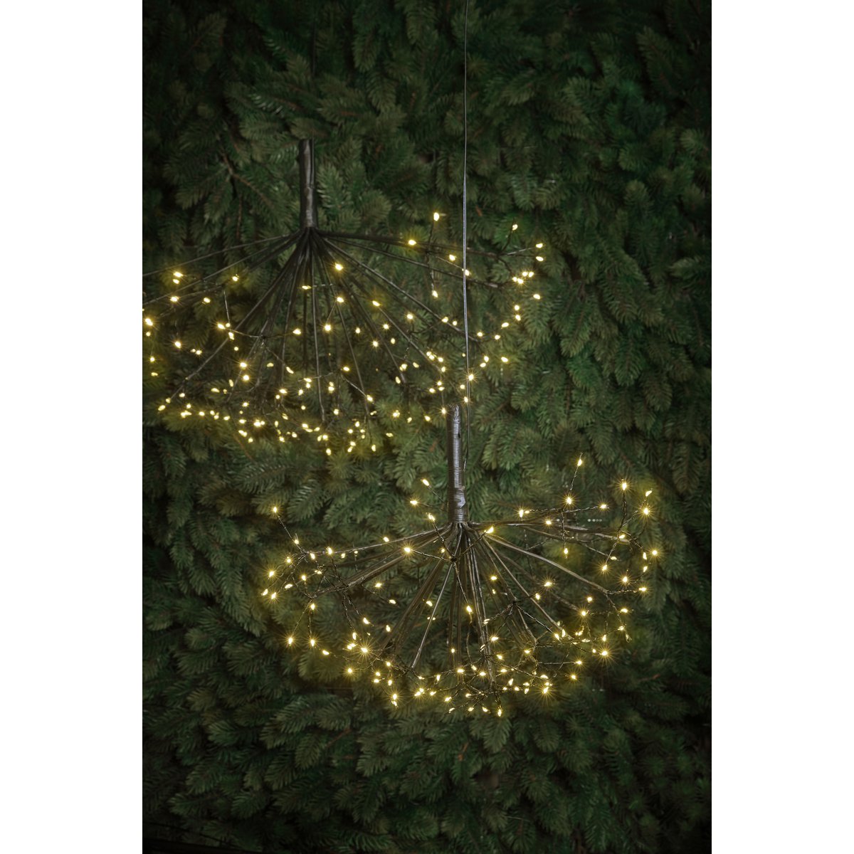 Christmas Lights Dandelion with 120 Warm White LED Lights - Ø45 cm - Black