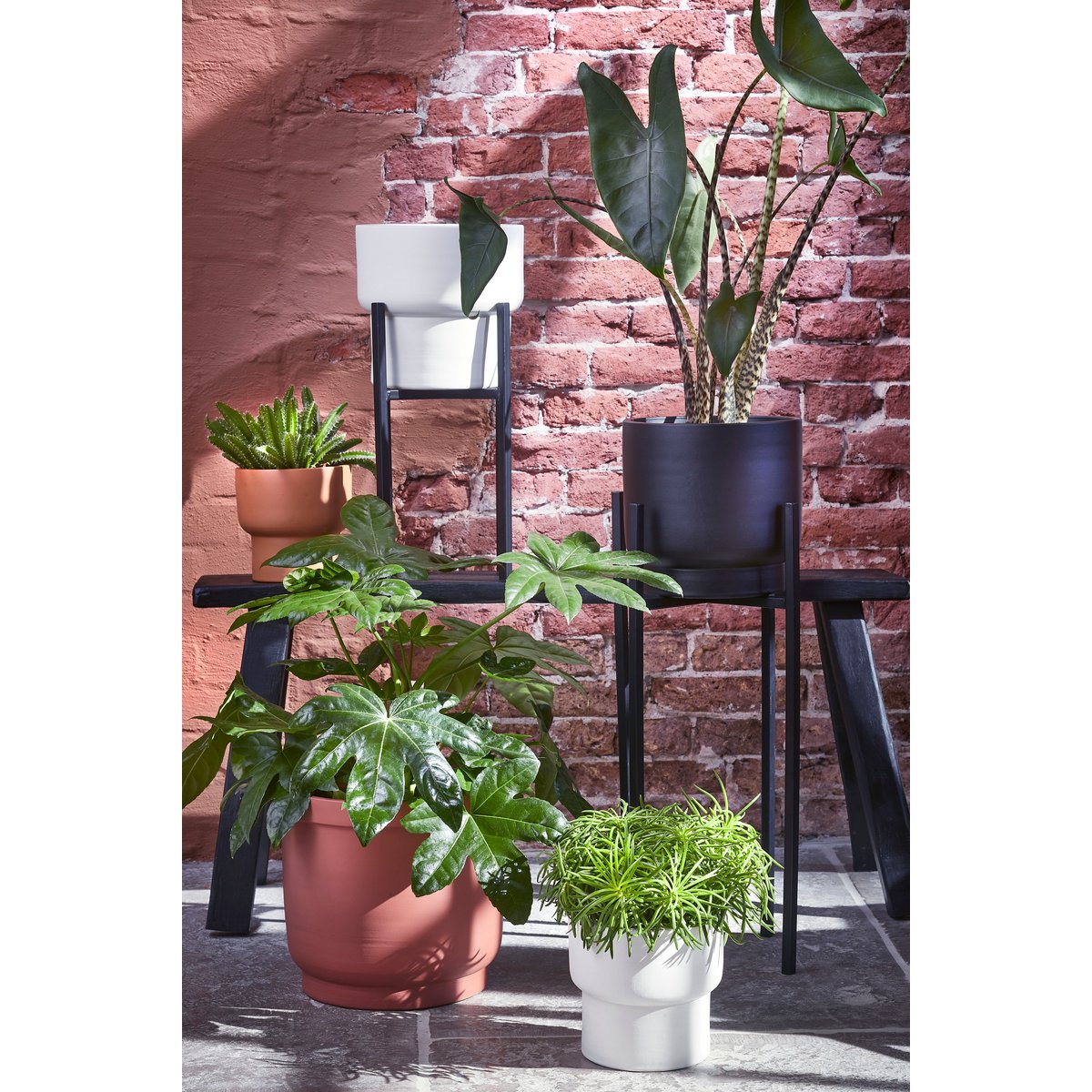 Ascot Plant Stand XL - L34 x W34 x H49.5 cm - Metal - Black