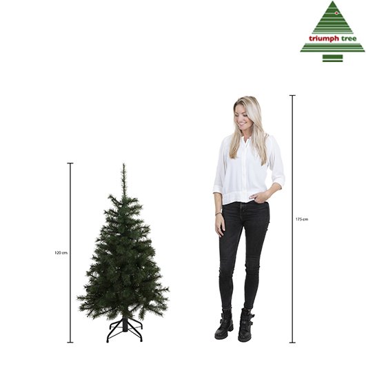 Forest Frosted Artificial Christmas Tree - H120 x Ø99 cm - Green