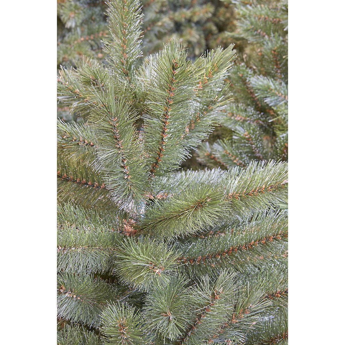 Forest Frosted Artificial Christmas Tree - H155 x Ø119 cm - Green