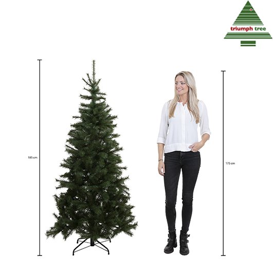 Forrester Artificial Christmas tree - H185 x Ø109 cm - Green